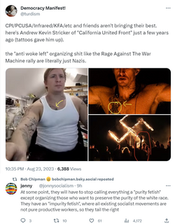 nazi-punk.png