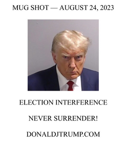 1692928564397.png