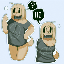 1692938558462.png