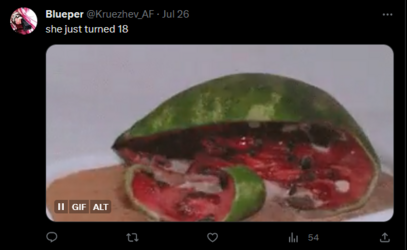 1693061036775.png