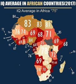 african iq.png