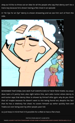 Danny Phantom Tumblr.png