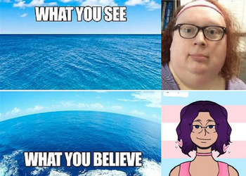 1693317249488.png