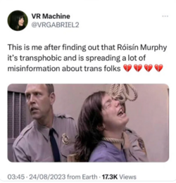 Screenshot 2023-08-30 at 13-37-11 vrgabriel2 - Search _ X.png