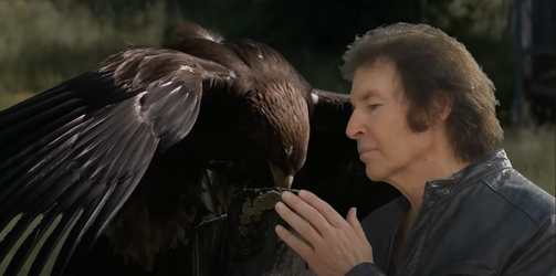 bird.png