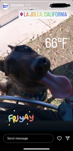 1693584189396.png