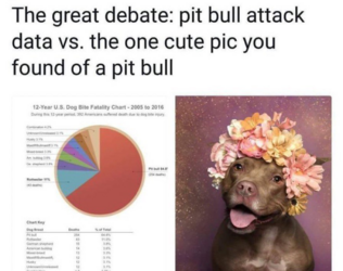1693596691152.png