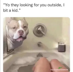 1693596718310.png