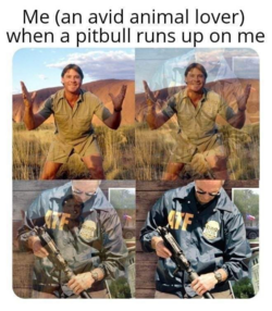 1693596729081.png