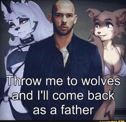 1693601684893.png