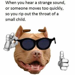 322953075_662188735594010_8579252057423597322_n.jpg