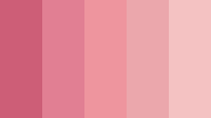 images.png