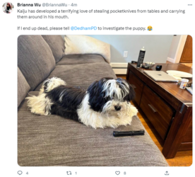 dog.png