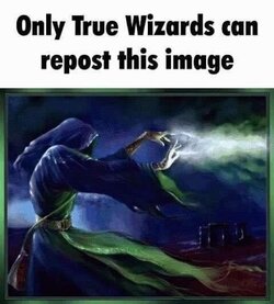 IMG_6327.jpeg