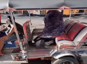 ezgif-3-d114830939.gif
