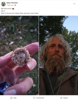 ate a fucking acorn.png