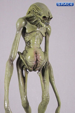 13957_0.jpg