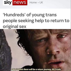 1693847334300.png