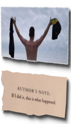 if_I_did_it_side.png