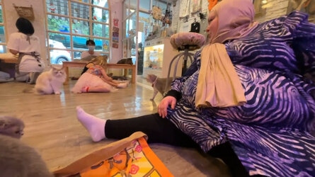 VS--YouTube-CUTECATSATACATCAFEINBANGKOKTHAILAND-7’54”.jpg
