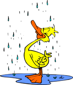 bent wet duck.png