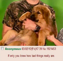 1693896475901.png