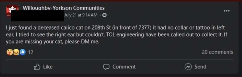 xg6RGNw2.jpg