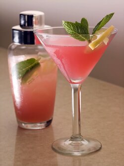 048f4f5c13e66ffe5d9c25e927efb57e--pink-flamingos-ruby-red.jpg
