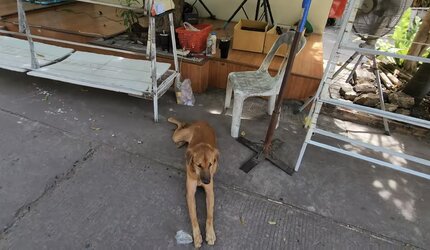 IMG_0304.jpeg