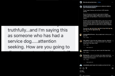 Screenshot 2023-07-10 at 2.43.54 AM.png