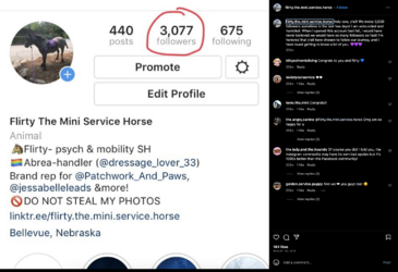 Screenshot 2023-07-10 at 3.43.07 AM.png