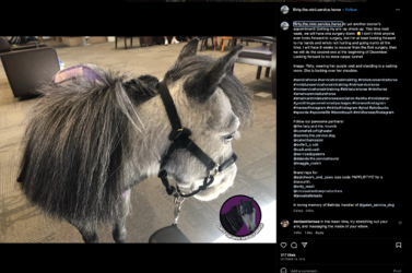 Screenshot 2023-07-10 at 4.37.19 AM.png