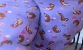 IMG_0565.gif