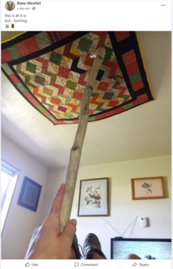 IS THAT HIS FUCKING CARPET.png