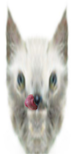 licky.png