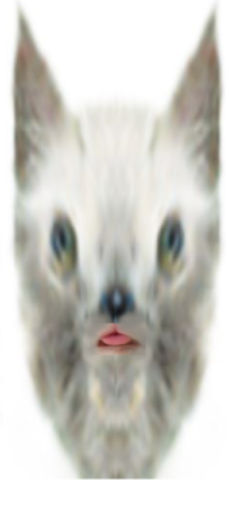 huhwhat.png