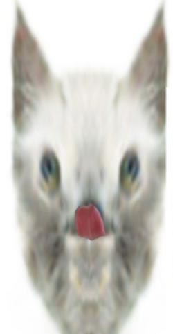 licc.png