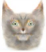 CaaaC.png