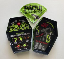 chip01.jpg