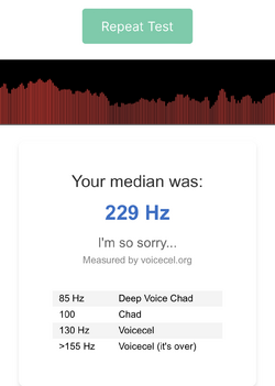Your voice says a lot about you.png