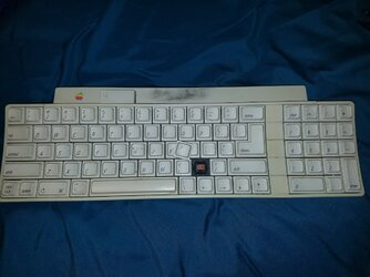 69052E2F-F454-49EB-9355-DAF5E21C185C.jpeg
