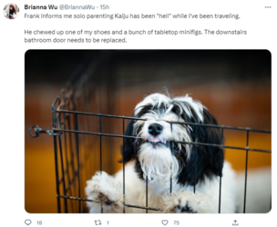 dog.png