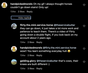 Screenshot 2023-09-10 at 02.29.05.png