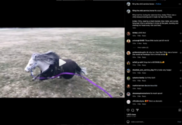 Screenshot 2023-09-10 at 02.46.03.png