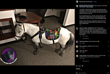 Screenshot 2023-09-10 at 04.33.19.png