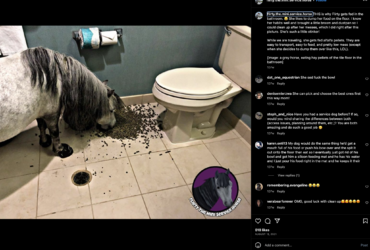 Screenshot 2023-09-10 at 04.34.57.png