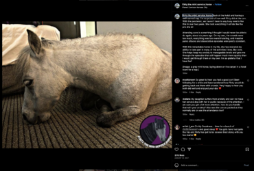 Screenshot 2023-09-10 at 04.38.45.png
