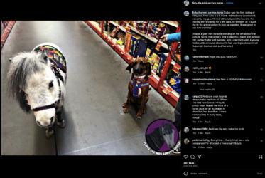 Screenshot 2023-09-10 at 05.27.19.png