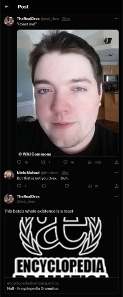 roast-me.png