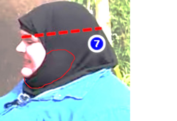 1694475278433.png